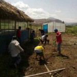 Working in the garden